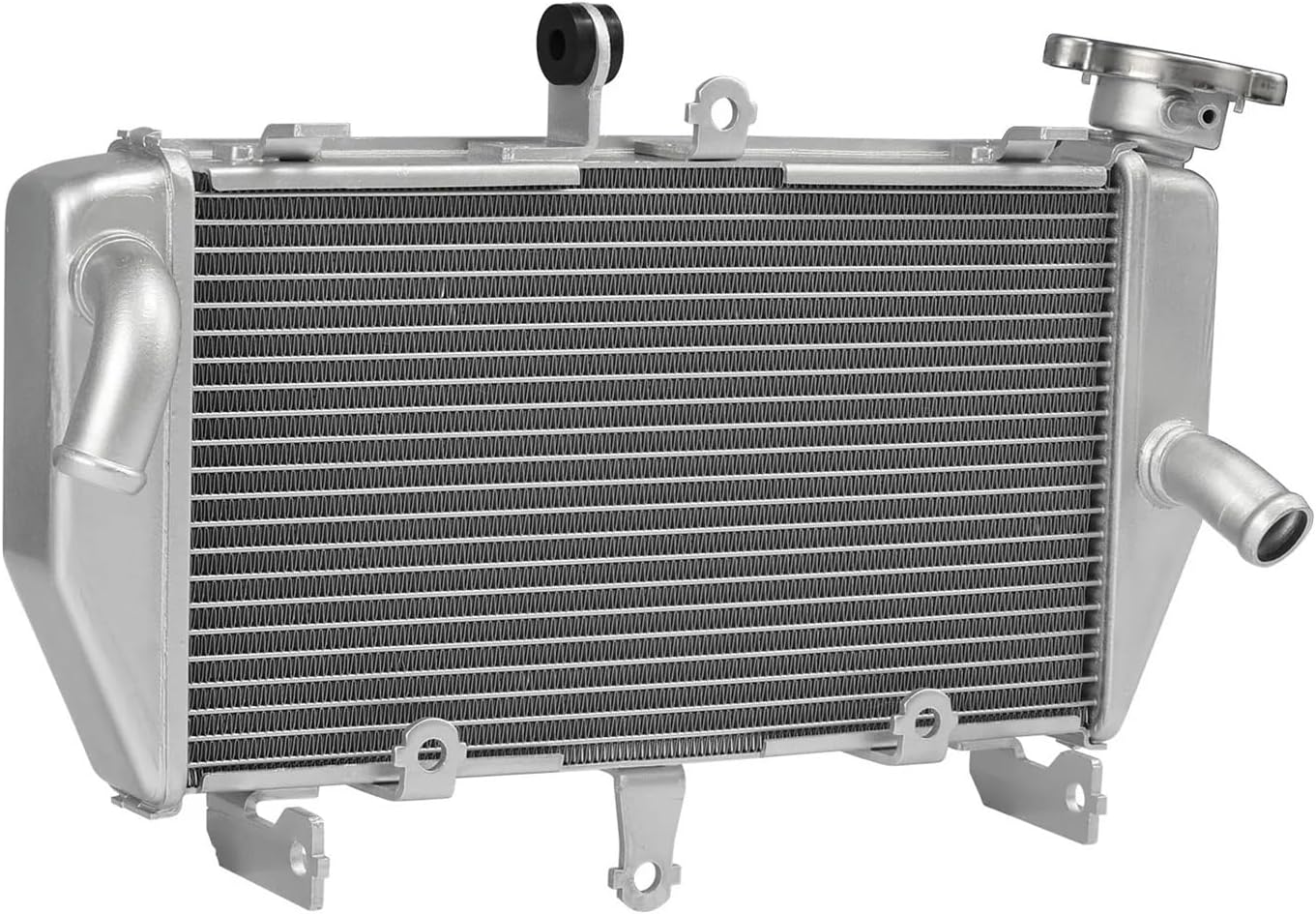 自生山採り/アオダモ/大株【現品発送】管理70413 自生山採り/アオダモ