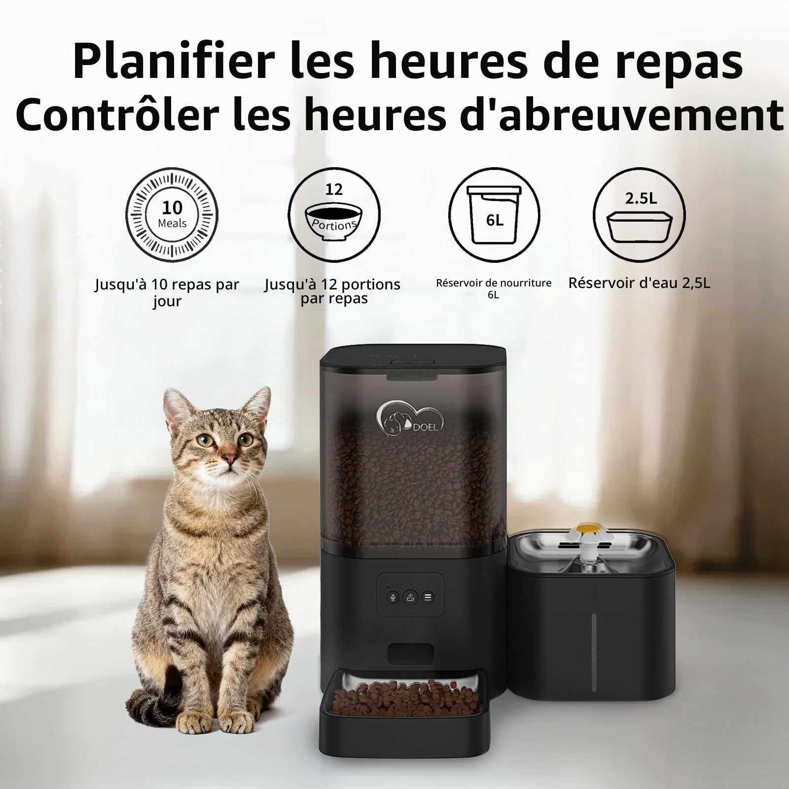 Distributeur automatique de nourriture et d'eau 2 en 1 pour chat - Grand volume - 6 litres - Distributeur d'eau de 2,5 litres avec contrôle par application - Enregistrement vocal - Alimentation