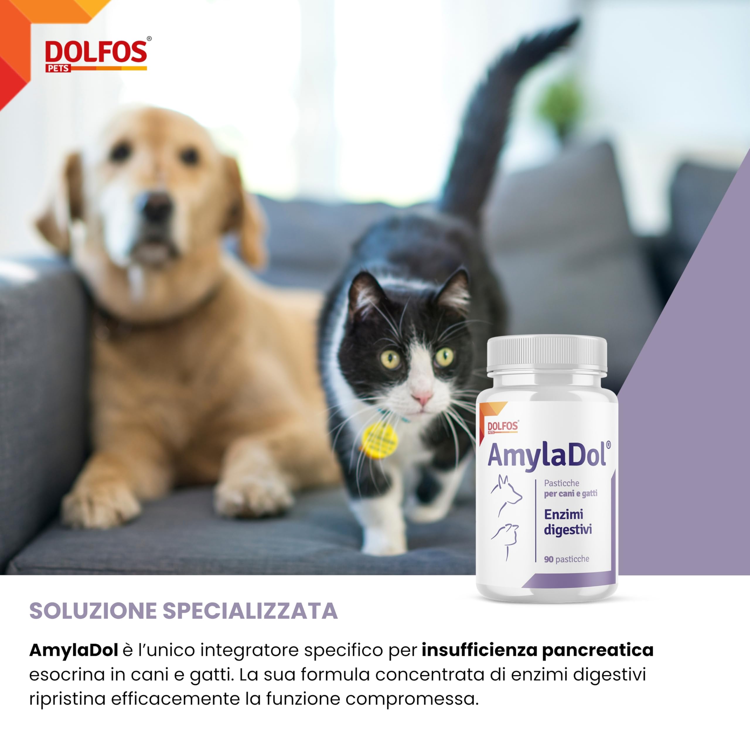 Pets Dolfos AmylaDol 90 Compresse Enzimi digestivi Naturali: Amilasi, Lipasi e Proteasi. Alimento complementare dietetico in Caso di disturbi digestivi dei Cani e dei Gatti