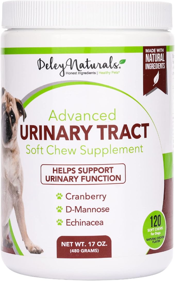 Dog UTI Prevention Incontinence, Bladder, Kidney