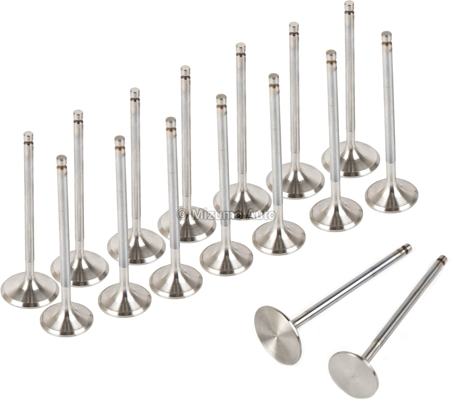 Evergreen IEV4008 Compatible With 94-01 Acura Integra GS-R Type-R 1.8 DOHC 16V B18C1 B18C5 Intake Exhaust Valves