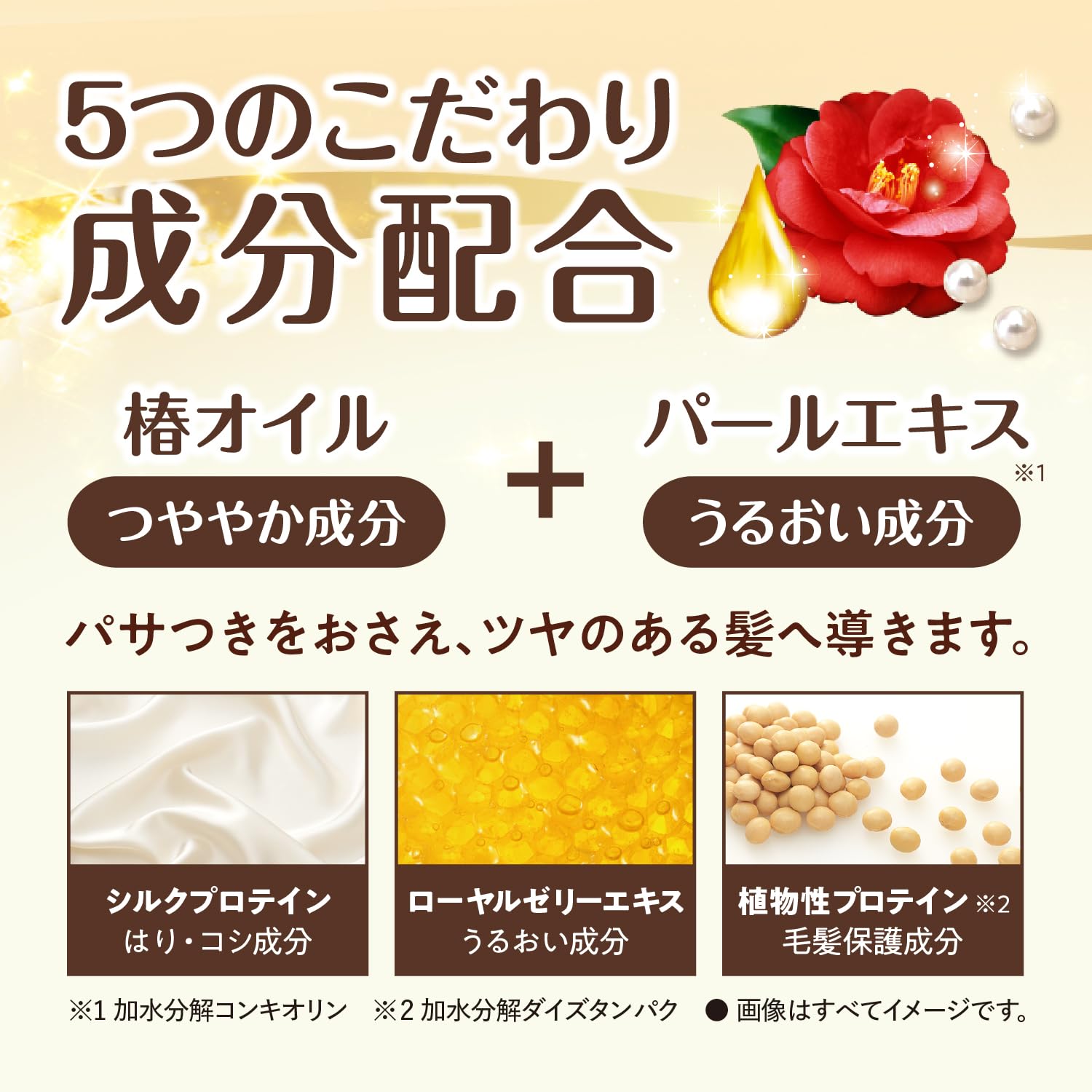Amazon | サロンドプロ 白髪染め ヘアマニキュア スピーディ 5A