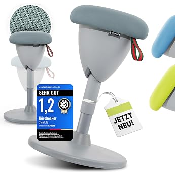 SteinLife Ergonomic Office Stool [Test Winner] Height Adjustable | 58-83 cm | Ergonomic Stool for Office &amp; Desk, Swing Effect