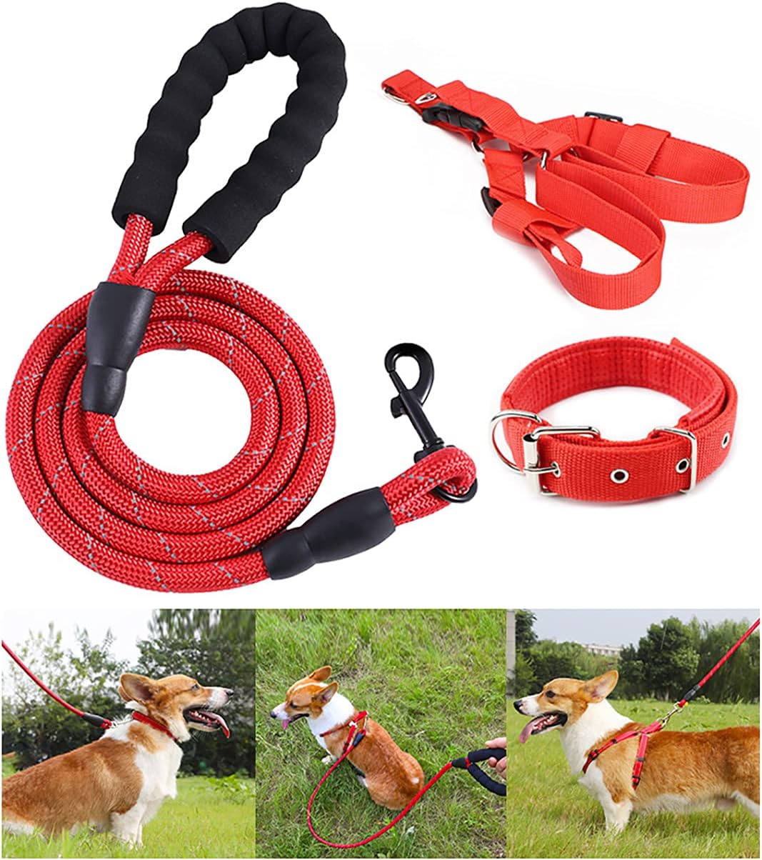 Nylon Dog Leads,Easy to Clean,Soft Lightweight Leash for Daily Walk with Puppies and Small Breeds, Soft Lightweight LeashAnti Pull Training Dog Lead(Size:2mx1cm,Color:Blue)