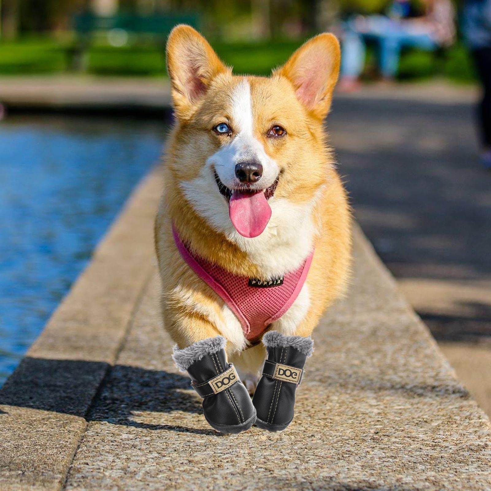 Hundeschuhe Wasserdicht & Rutschfest – Verstellbar, Für Kleine & Mittlere Hunde