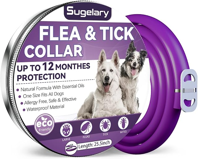 Sugelary Flea and Tick Collar for Dogs, 12 Months Protection Flea Treatment for Dogs Natural Adjustable Waterproof Dog Flea Collar Flea Treatment Collar for Small, Medium and Large Dogs (1Pack)