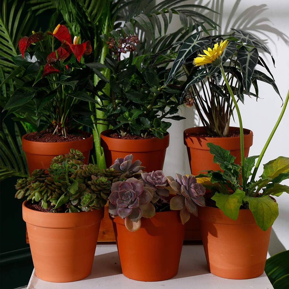 Yishang Large Terracotta Pot Clay Pots 6.3'' Clay Ceramic Pottery Planter Cactus Flower Pots Succulent Pot Drainage Hole- for Indoor/Outdoor Plant Crafts