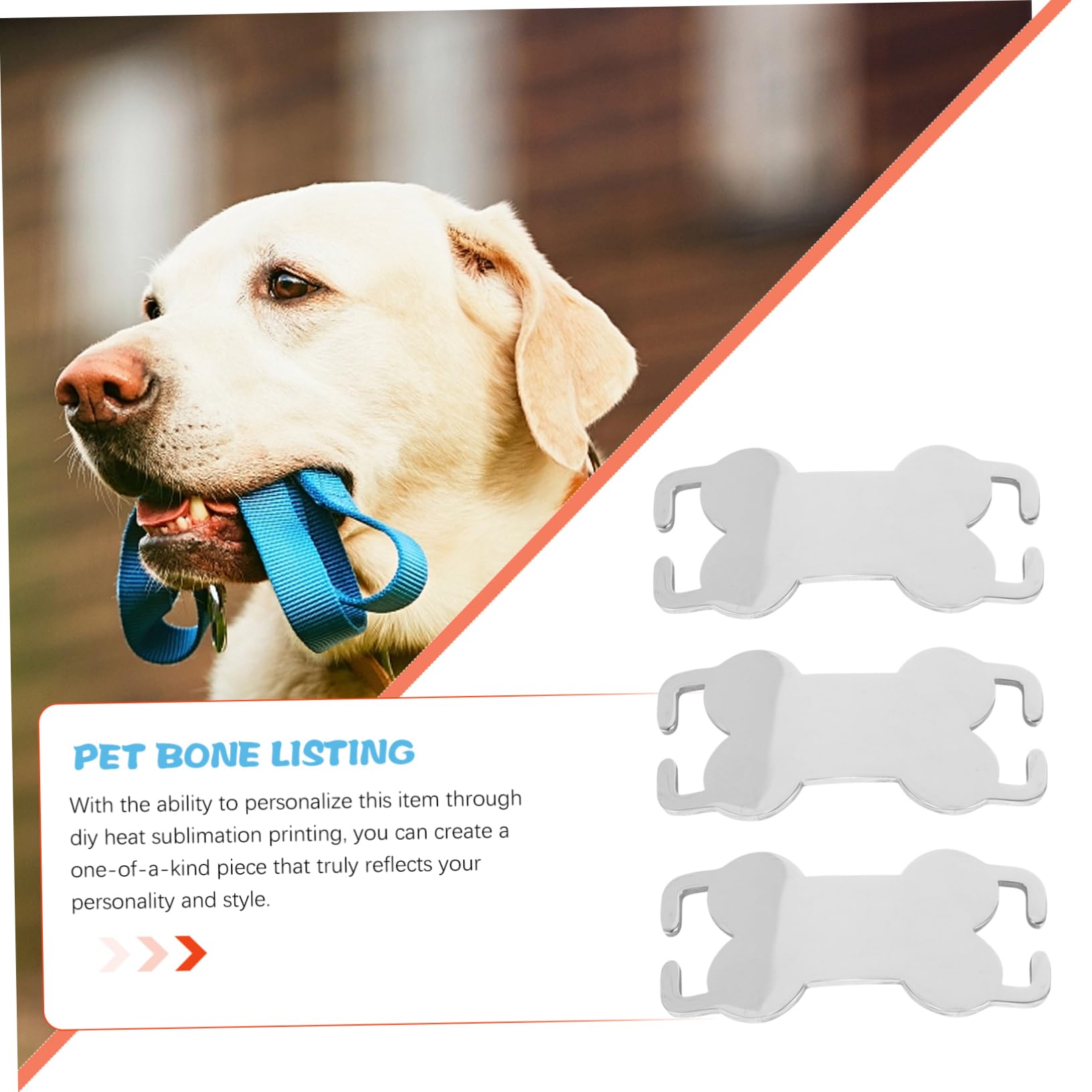 INOOMP 24pezzi Medaglietta Identificativa Per Cani Acciaio Inossidabile Da Leggera e Personalizzabile Resistente e Facile Da Incidere Tag Per Piccoli Animali Domestici