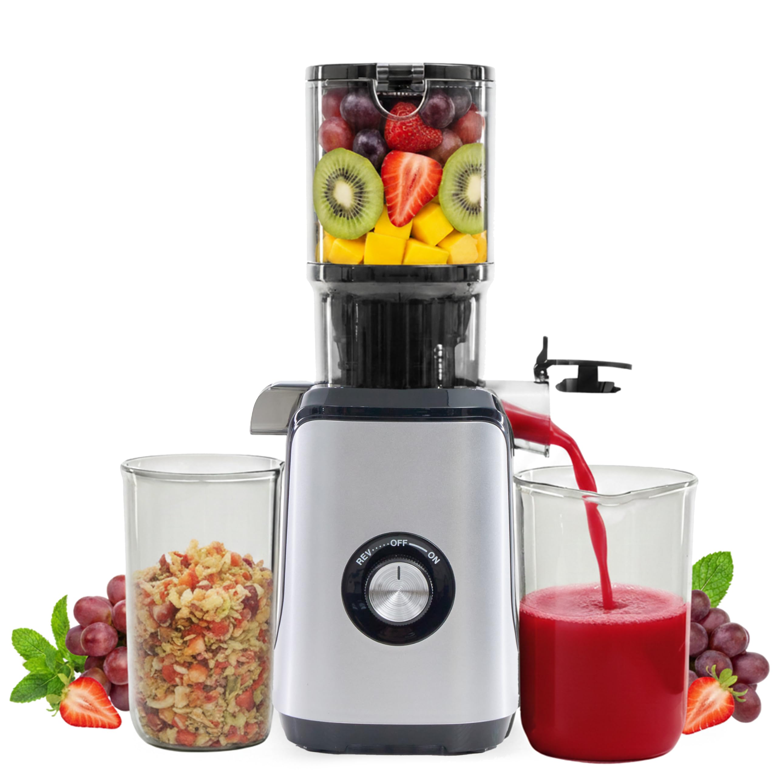 HealSmart Cold Press Juicer Slow Masticating Juicer Machines with Wide Feed Chute Fits Whole Fruits and Vegetables High