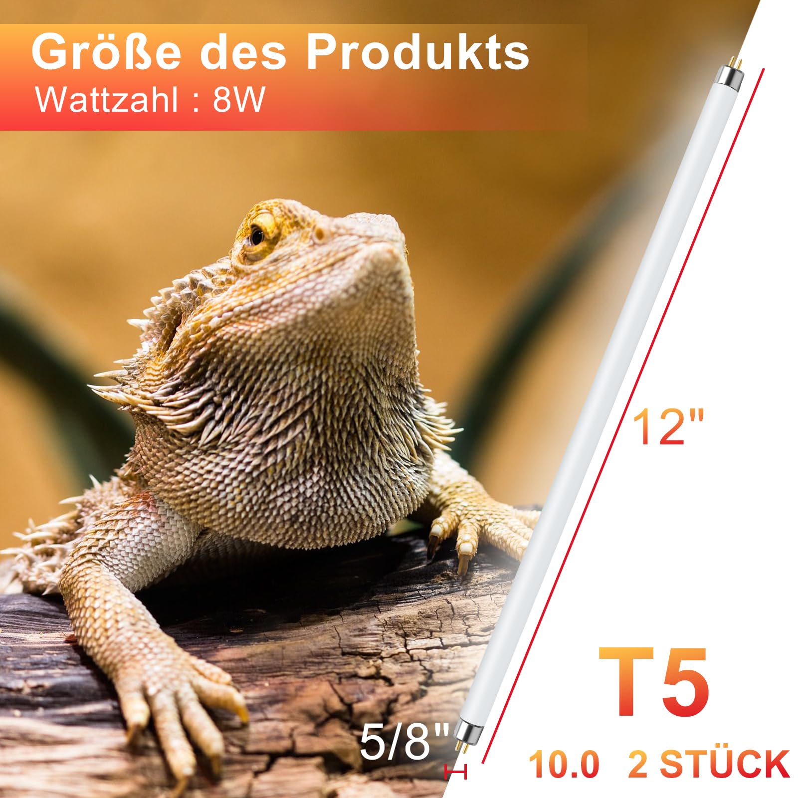 LUCKY HERP T5 UVB Lampe Terrarium, UVB 10.0 Reptilien Leuchtstoffröhre 8W-2stück, UVA UVB Terrarium Lampe für Eidechsen, Schildkröte, Chamäleon, Leopardgecko