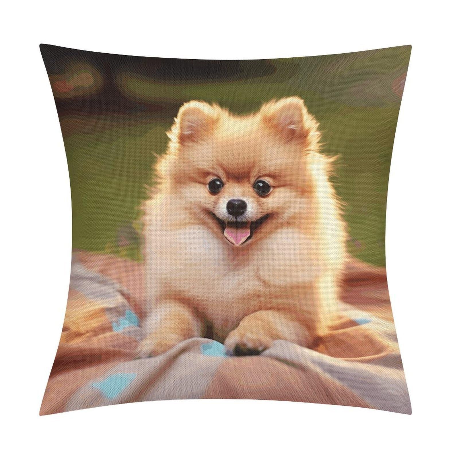 JTREHY Short-haired Pomeranian Throw Pillow Covers Farmhouse Pillow Cover Standard Pillow Shams Decorative Square Pillowcases Soft Pillow Cases Wrinkle Fade Resistant for Couch Home 18x18 Inch