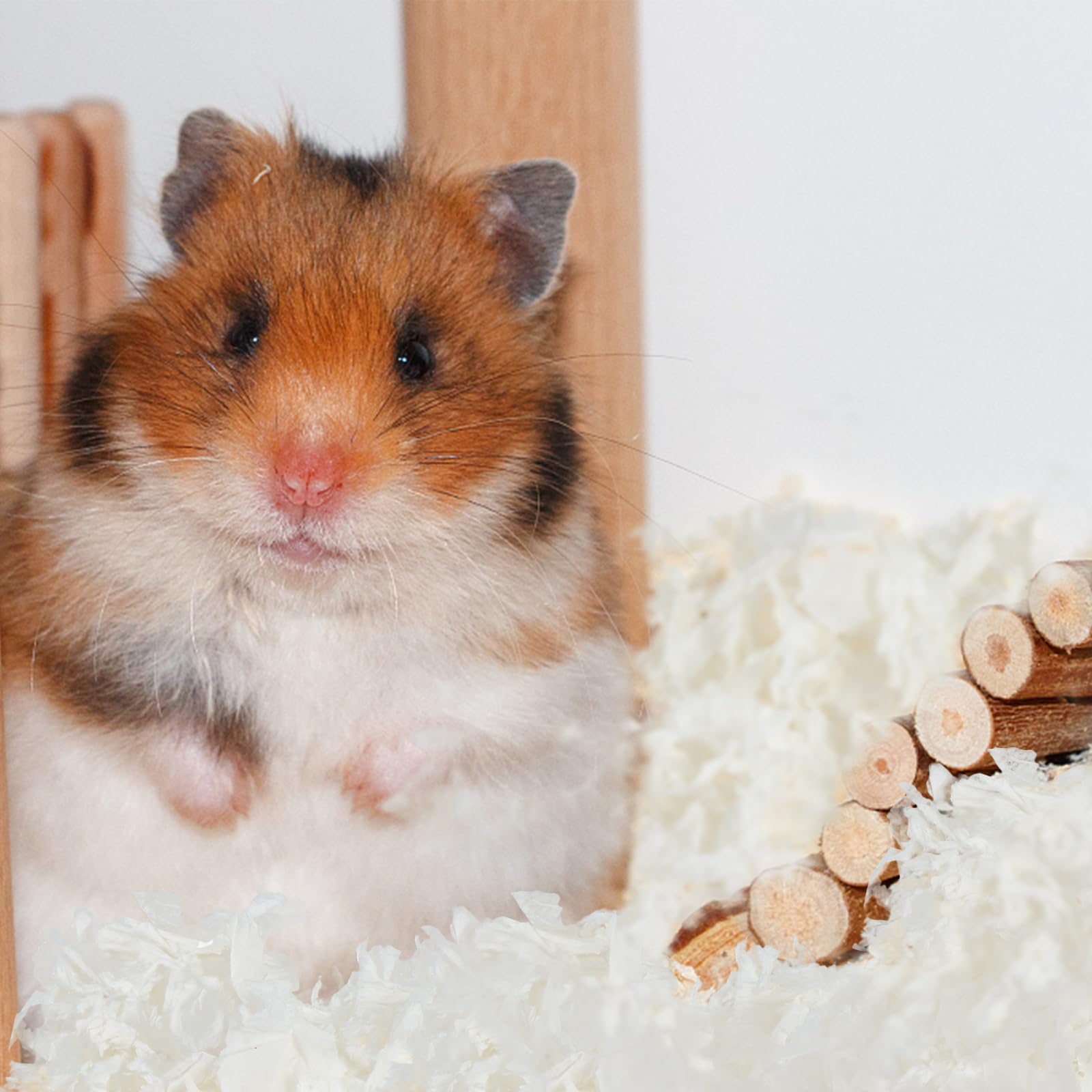 Amazon | LEDMOMO ハムスター 床材 紙 無塵【圧縮パッケージ 大容量