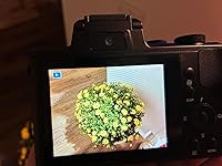 Review Image by Yashira Amador Vazquez Yashira Amador Vazquez