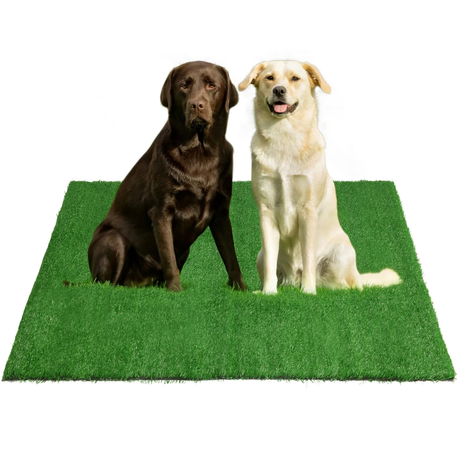 Oiyeefo Fake Grass Pee for Dog Large Artificial Grass Rug Pad for Puppy Potty Washable Grass Mat for Pet Training with Drainage Hole and Easy to Clean (39.3X 31.5Inches)