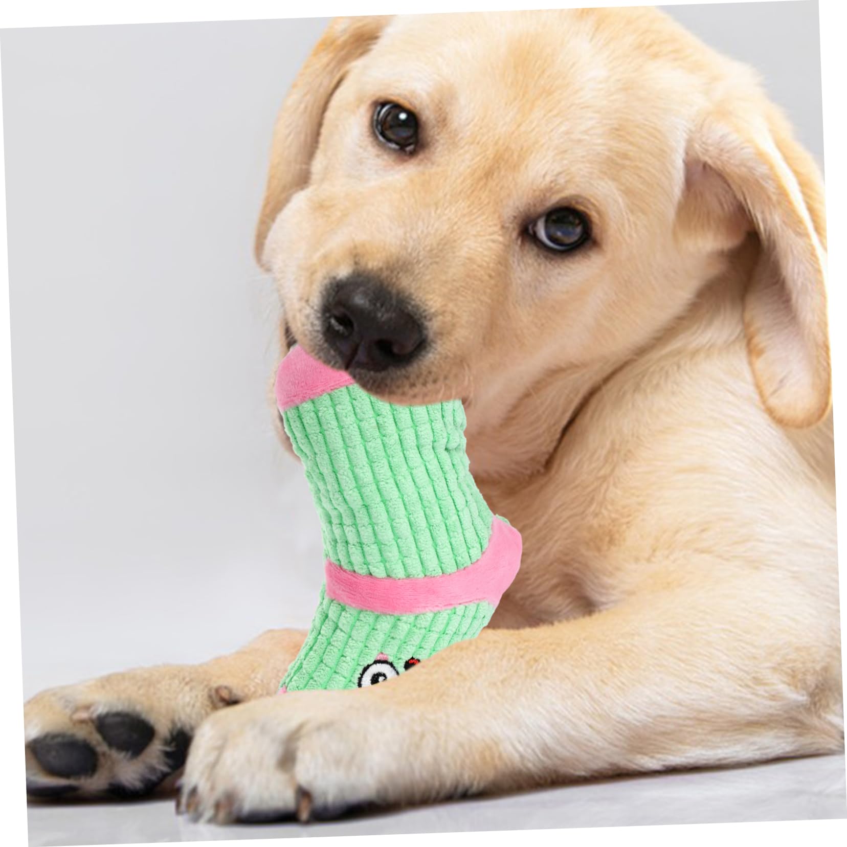 Milisten Cartoon Dog Chew Toy Interactive Squeaky Plush Puppy Toy for Teeth Grinding and Play Soft Durable Material 6.30X2.56X1.77In Ideal for Small Dogs and Home Use - Image 4