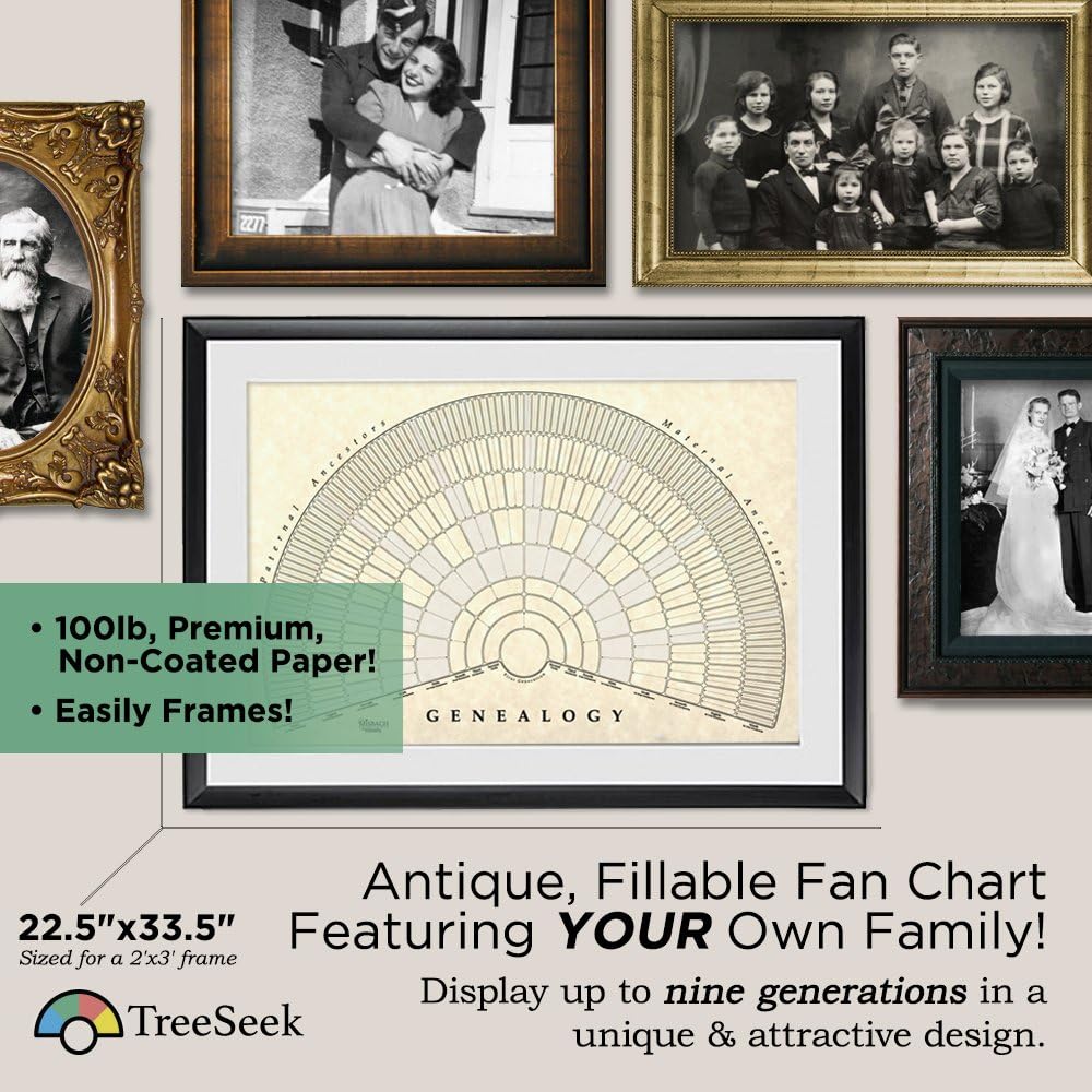 Amazon Com Treeseek Genealogy Fan Wall Chart Large Blank Fillable Pedigree Form For Family History And Ancestry Home Kitchen