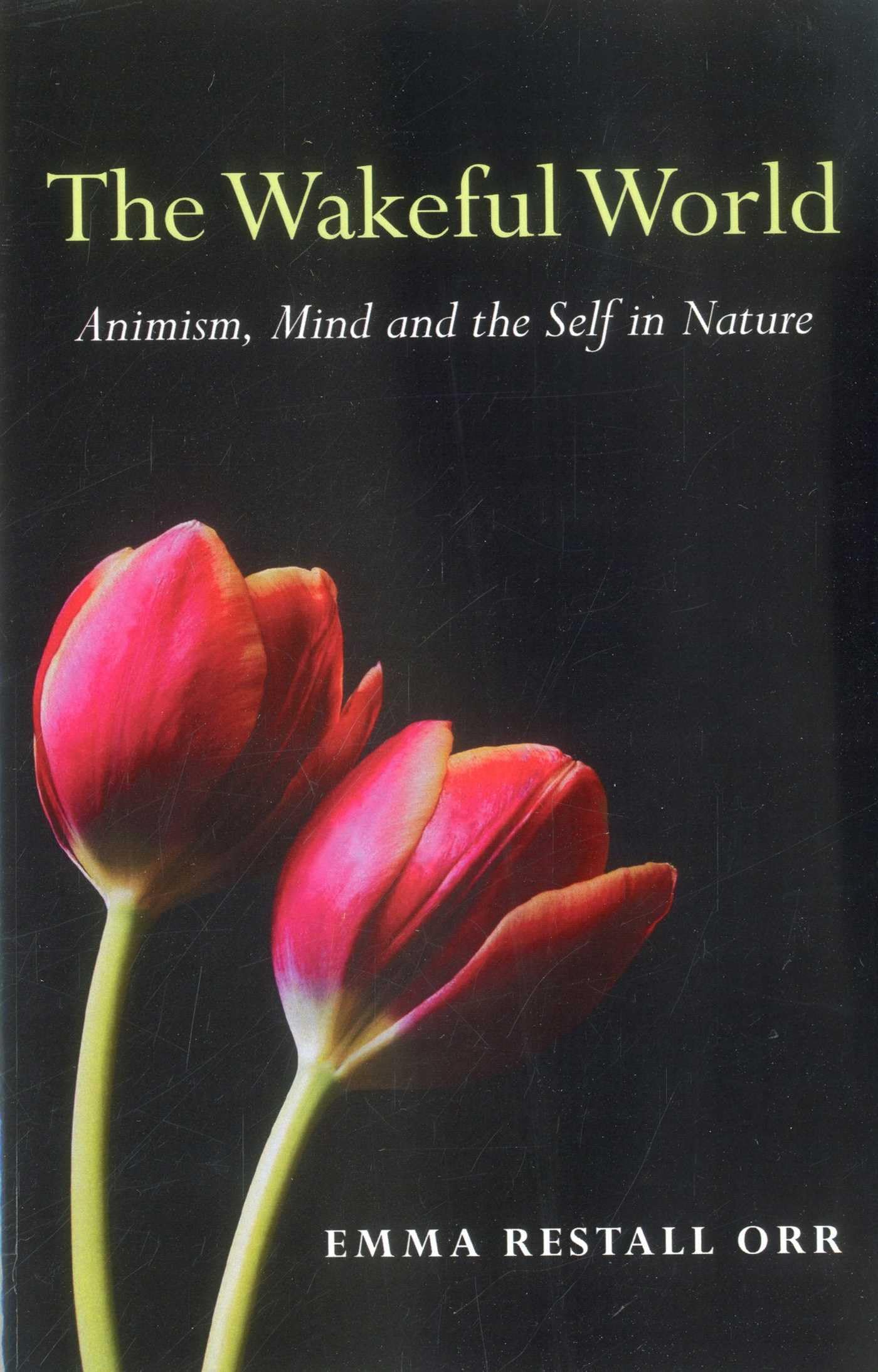The Wakeful World: Animism, Mind and the Self in Nature,Emma Res
