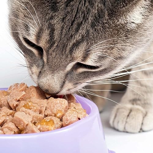 Miniatura 6 de Purina Pro Plan Entree - Alimento húmedo enlatado para gatos, 3 sabores, 6 latas con hierba gatera, paquete de muestras de juguetes (2) arroz con