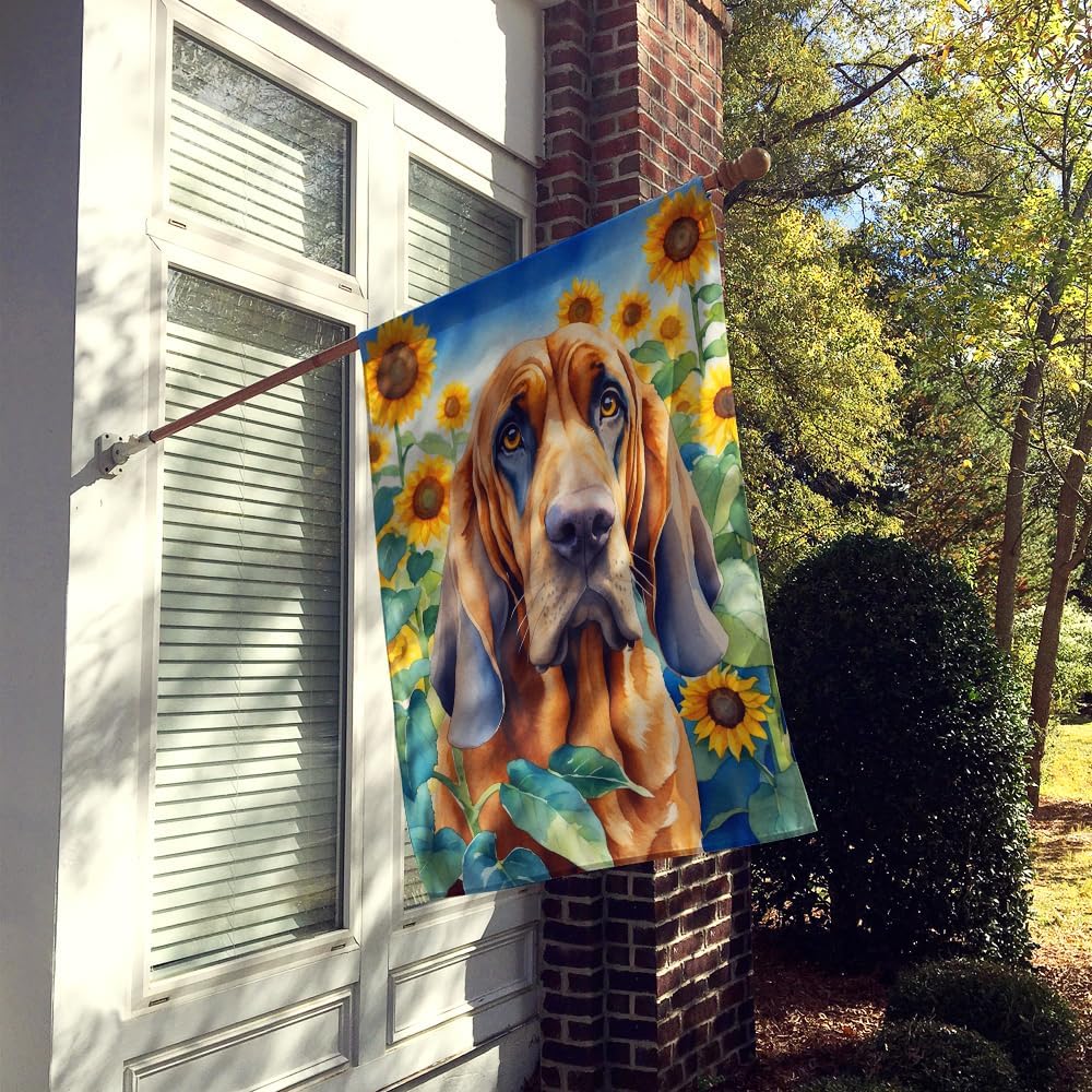 Caroline's Treasures DAC6029CHF Bloodhound in Sunflowers House Flag Large Porch Sleeve Pole Decorative Outside Yard Banner Artwork Wall Hanging, Polyester, House Size, Multicolor