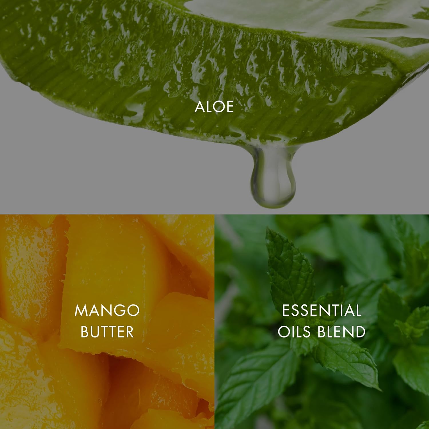 Bioelements Collagen Rehab - 1.7 fl oz - Face & Lip Mask for Aging Skin - Creates Instant Dewiness + Improves Fine Lines & Wrinkles - Vegan, Gluten Free - Never Tested on Animals - Image 8