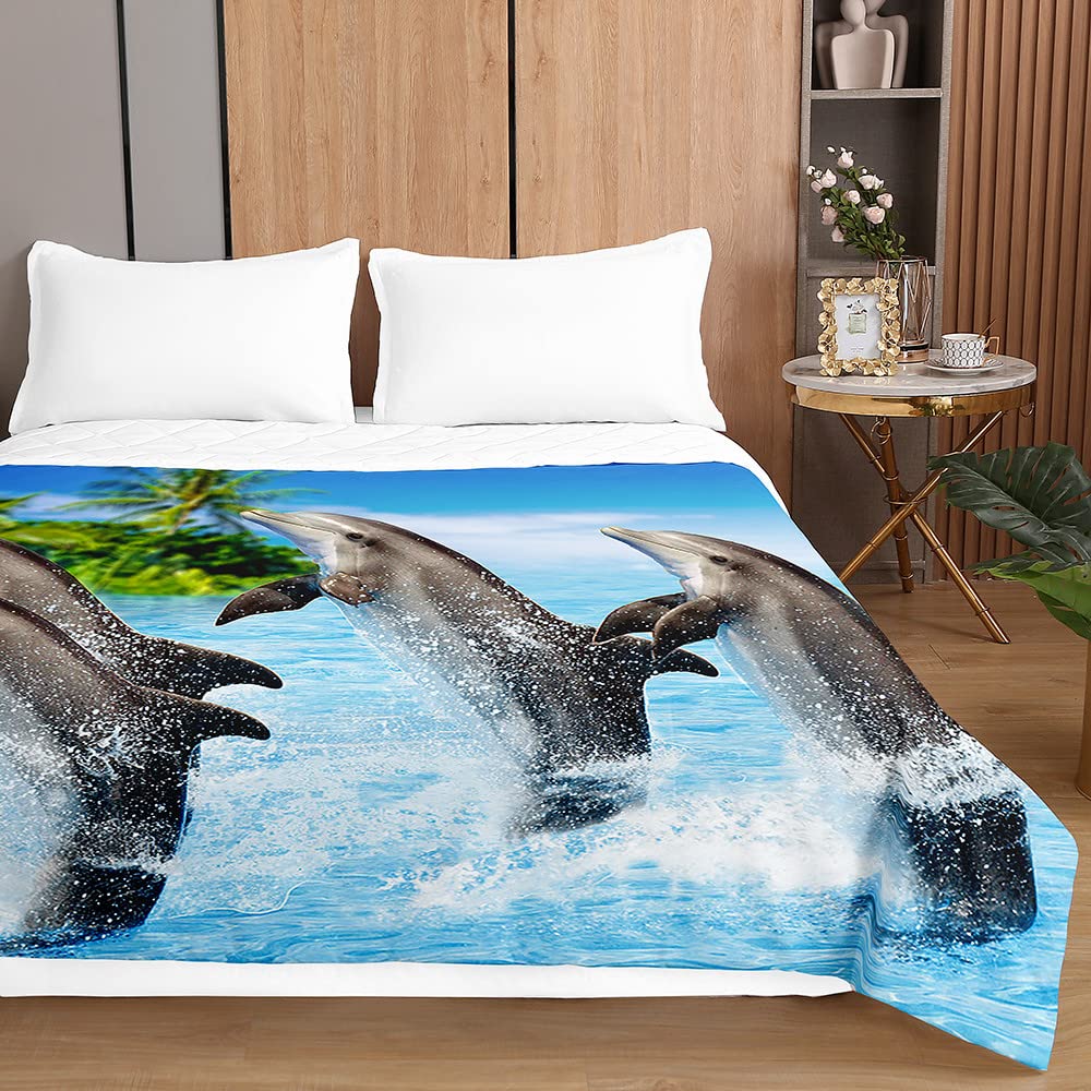 Chickwin Couvre Lit Matelassé, 3D Dauphin Imprimé Dessus De