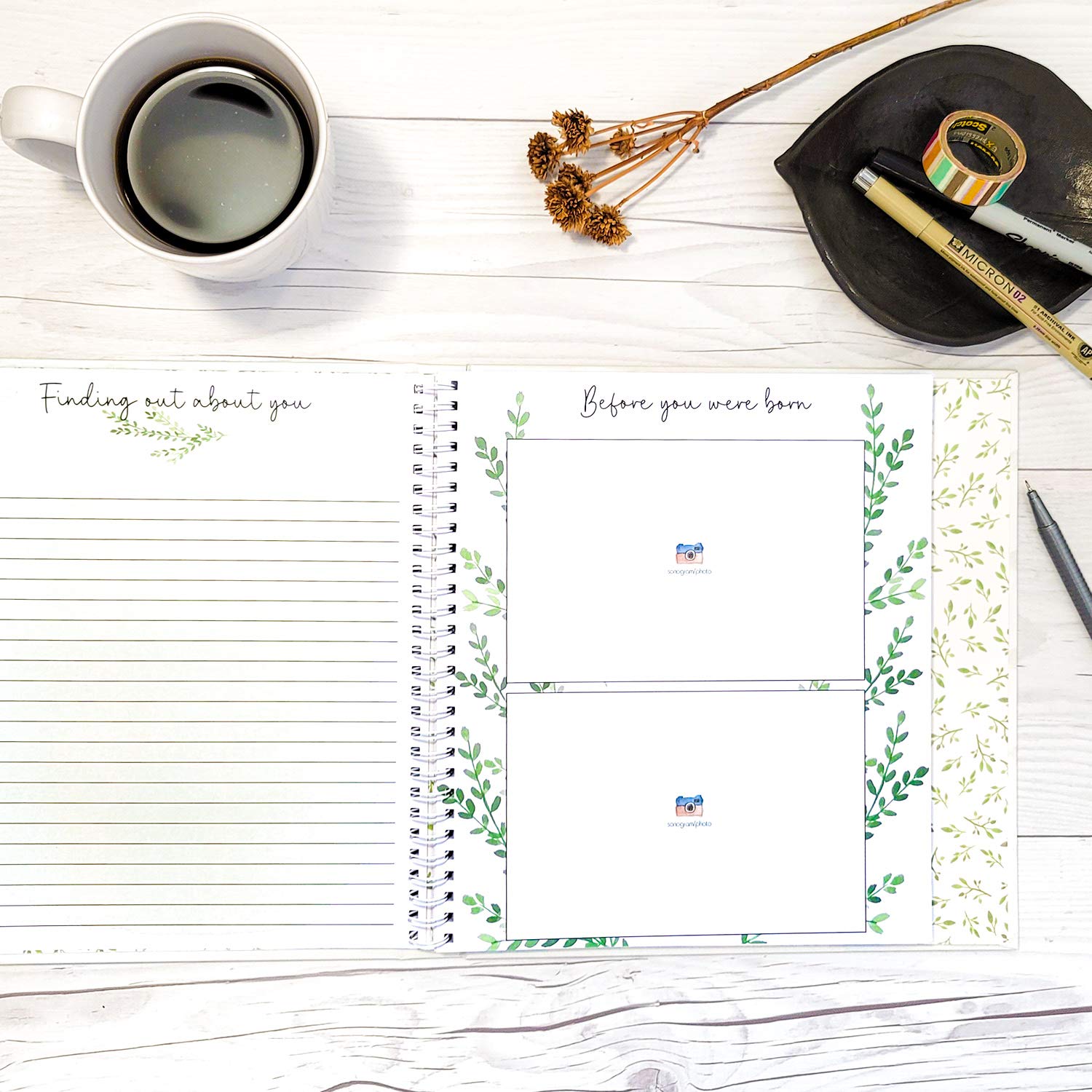 Baby Memory Book for Modern Families - Gender Neutral Journal for Baby's First 5 Years - Album to Record Baby Milestones for Baby Boy or Girl - Photo Keepsake with Gift Box : Baby