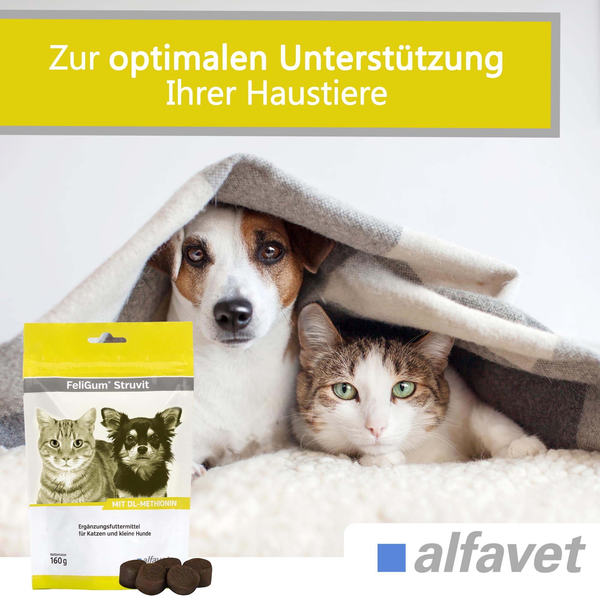 Alfavet FeliGum Struvit | Confezione da 3 | 3 x 160 g | Mangime complementare per gatti e cani di piccola taglia | Per mantenere un pH sano nelle urine | Contiene DL-metionina
