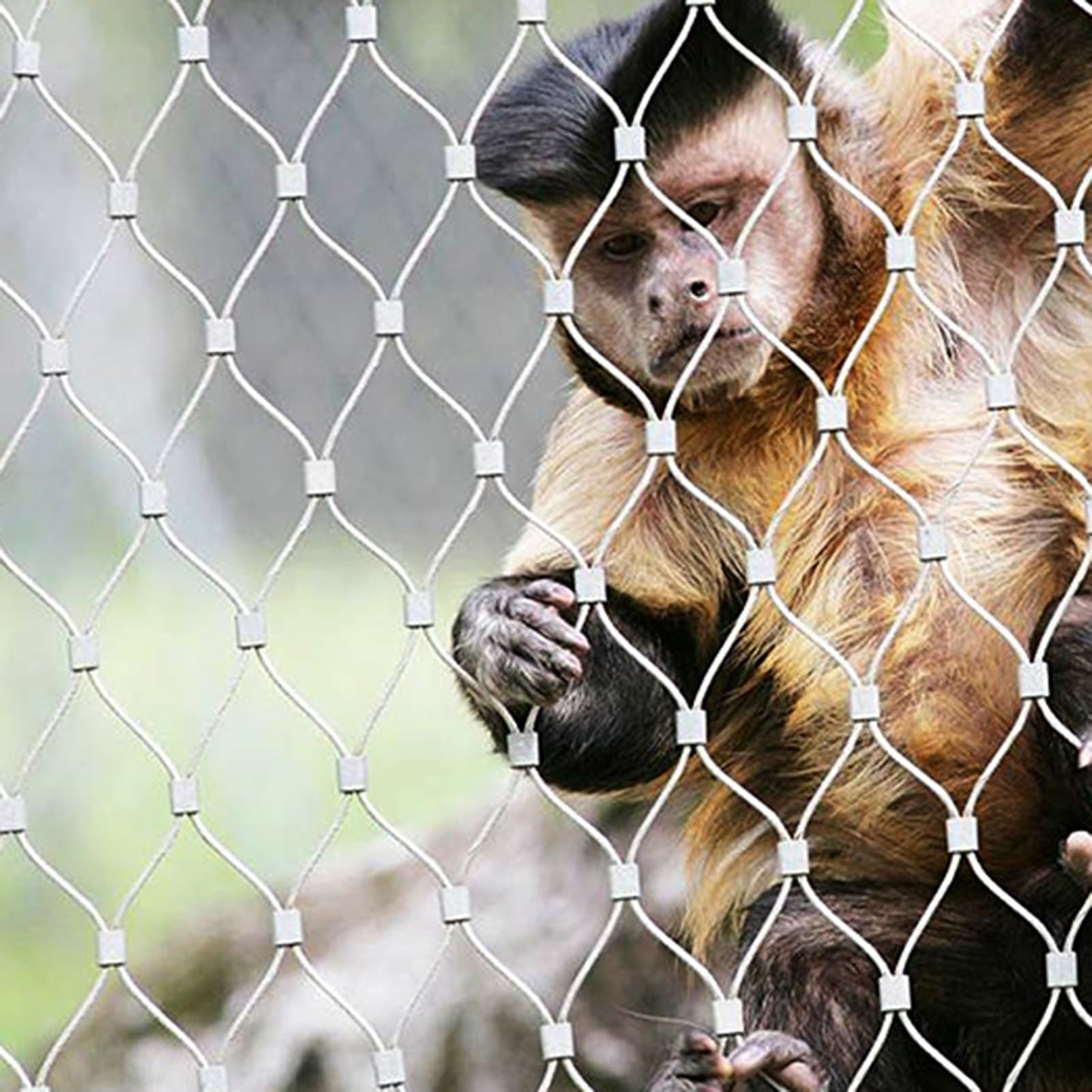 HJLKDYM Flexible Cable Wire Rope X-Type Mesh, High Altitude Anti-Fall Netting Safety Netting Outdoor Rope Netting Fence?Balcony Stair Fall Protection Fence,Animal Barrier(Silver-9cm,3x5m)