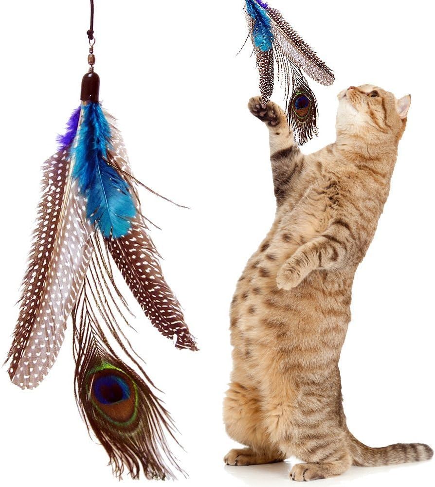 5 Pack +1 Bonus Refill Super Guinea Fowl Peacock Feathers for Cats Refill Replacement For Interactive Dancer Dangler Chaser Charmer Wand Fishing Pole Teaser Made for the Bird Catcher PRO Go Cat or Da Bird Cats Toys!