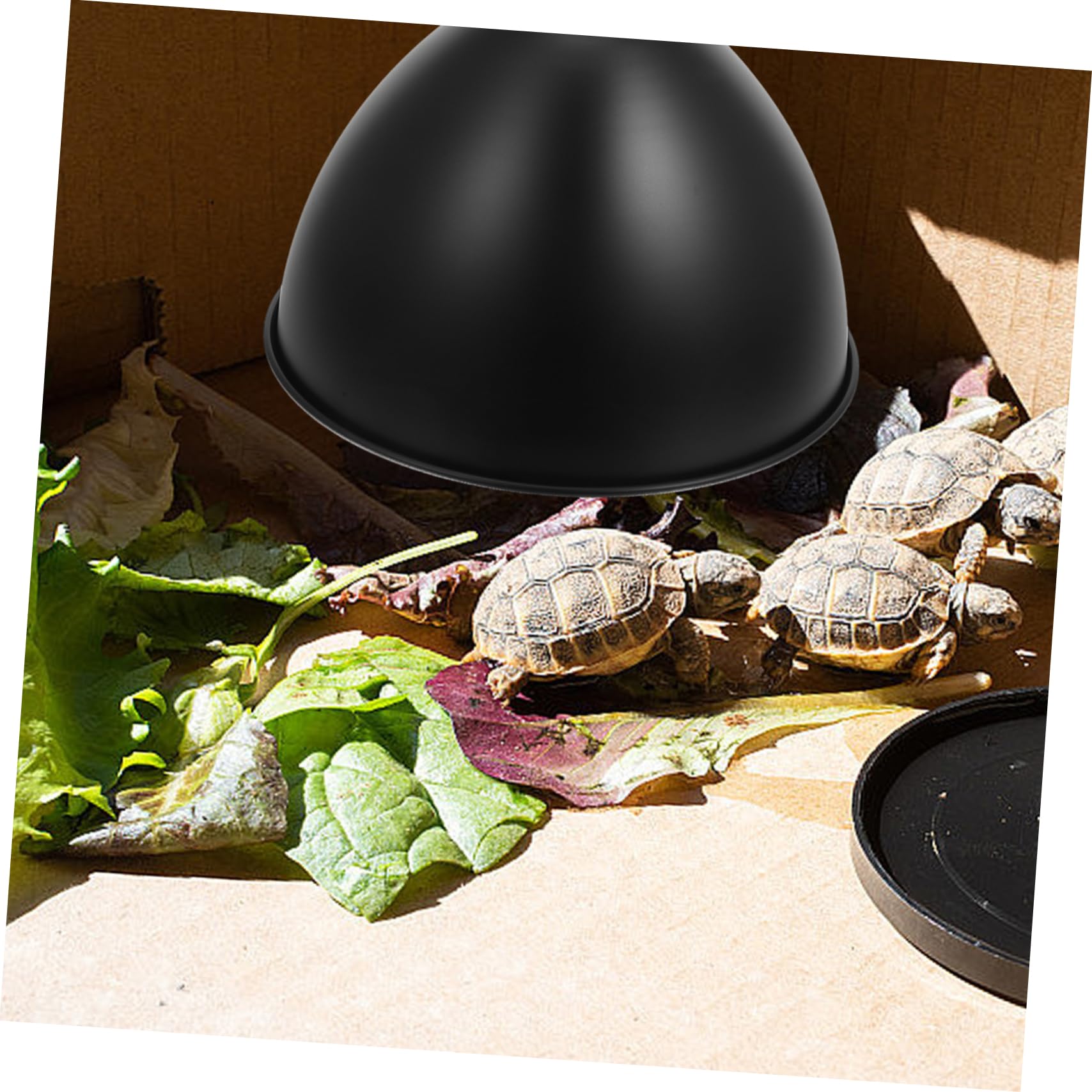 PRETYZOOM Scatola Da 3 Pezzi Paralume per rettili paralume per acquario per rettili per lampada termica per i accessorio protezione della lampada per i