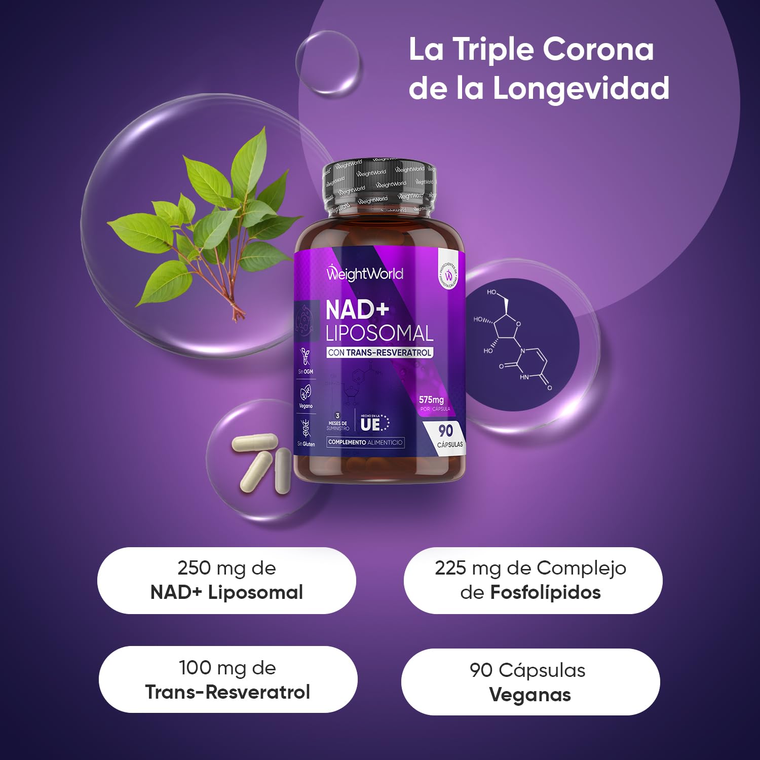 NAD Resveratrol 575mg - 90 Cápsulas Veganas con Complejo de Fosfolípidos - 3 Meses de Suministro, Fórmula con NAD Resveratrol 98%, Sin OGM ni Gluten