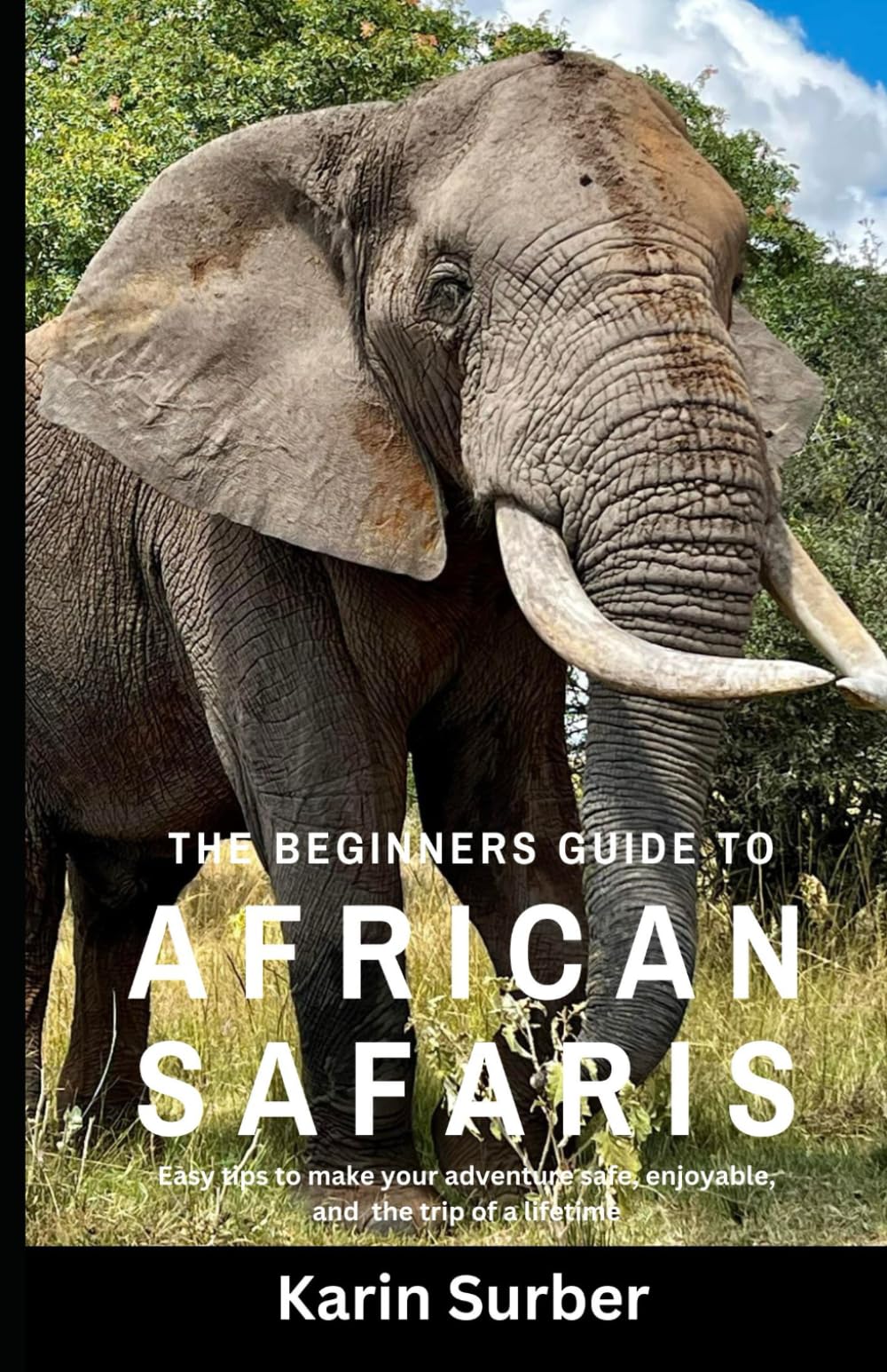 The Beginners Guide to African Safaris: Easy Tips to make your trip safe, enjoyable, and a trip of a lifetime