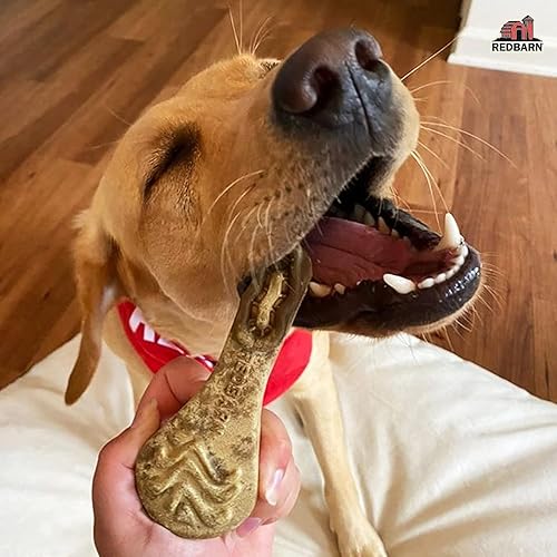 Miniatura 6 de Redbarn Pet Products Chew-A-Bulls (Talla: Grande, Forma: Cepillo, 6 unidades (Caja de 10))