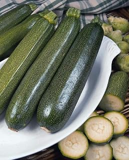 PREMIER SEEDS DIRECT - COURGETTE - Green Bush - 80 Finest Seeds
