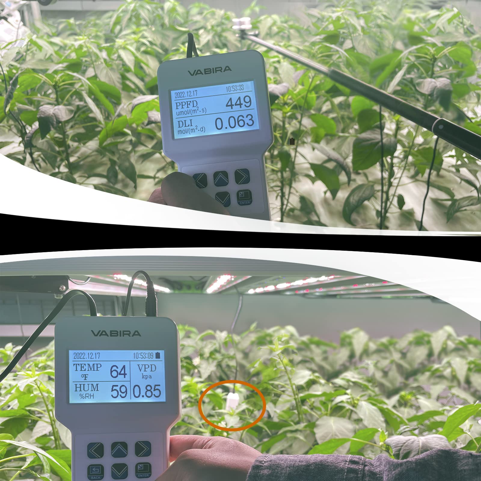 FUTUREHORTI Medidor de PAR hasta 6000umol/(㎡s) Calculadora DLI