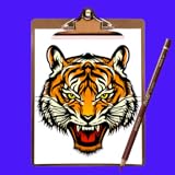 Draw Tiger Step by Step.