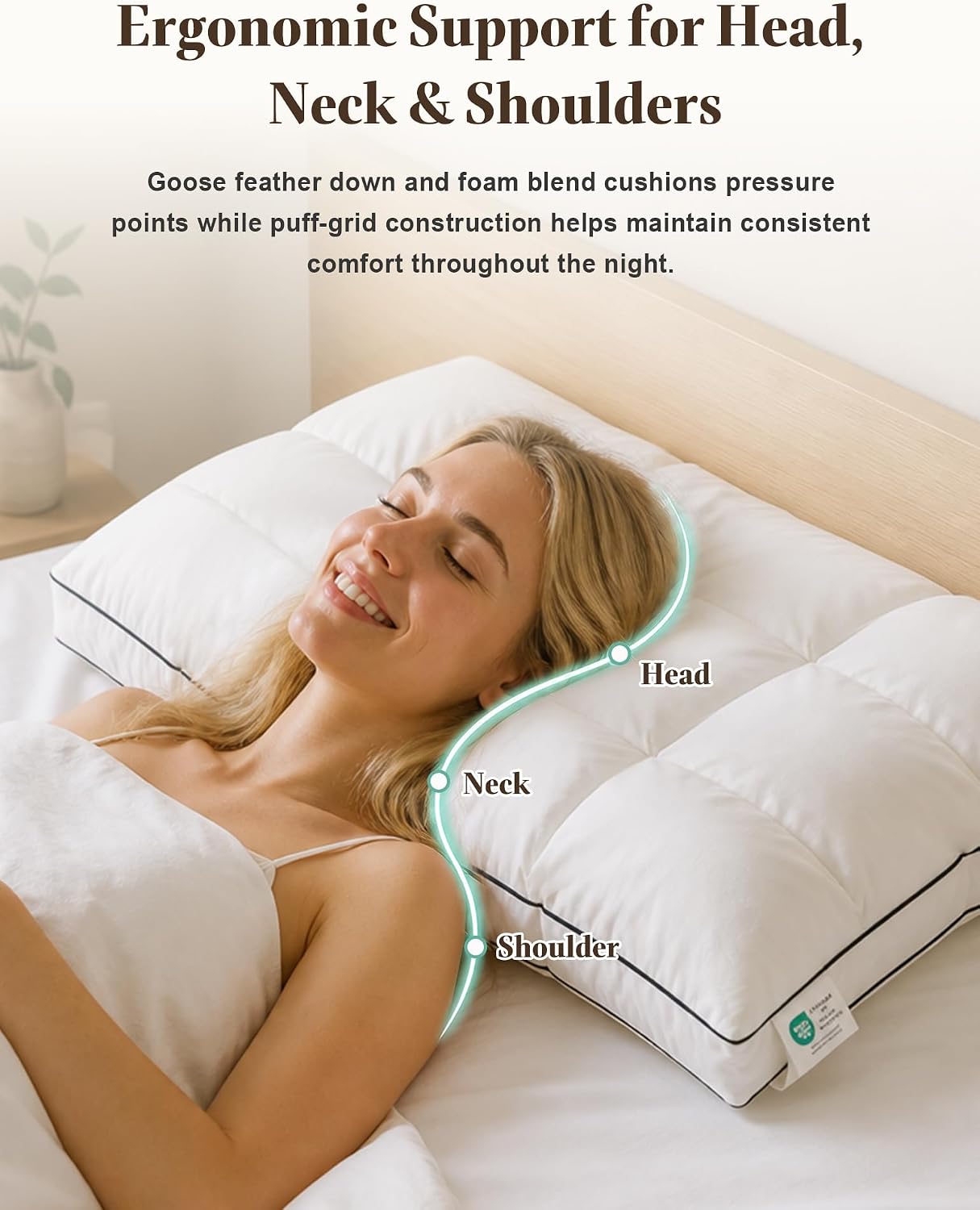 APSMILE Dual-Layer Puffy Goose Feather Down Plus Pillow, Queen Size, 2 Pack