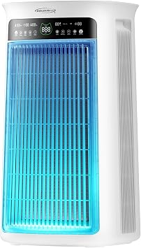 Air Purifier Large Room,True H13 HEPA Air Purifiers for Home & Bedroom, Covers Up to 4000 Sq. Whole House Air Purifier, PM2.5 TEMP HD Sensor, Large Screen Display, 22dB Quiet for Pets Families
