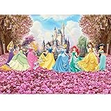 【Alta calidad】 Vinilo de fondo de Princesa, adecuado para el contacto con la piel, alta resolución y calidad, duradero, reutilizable, patrón claro y resistencia a la luz.
