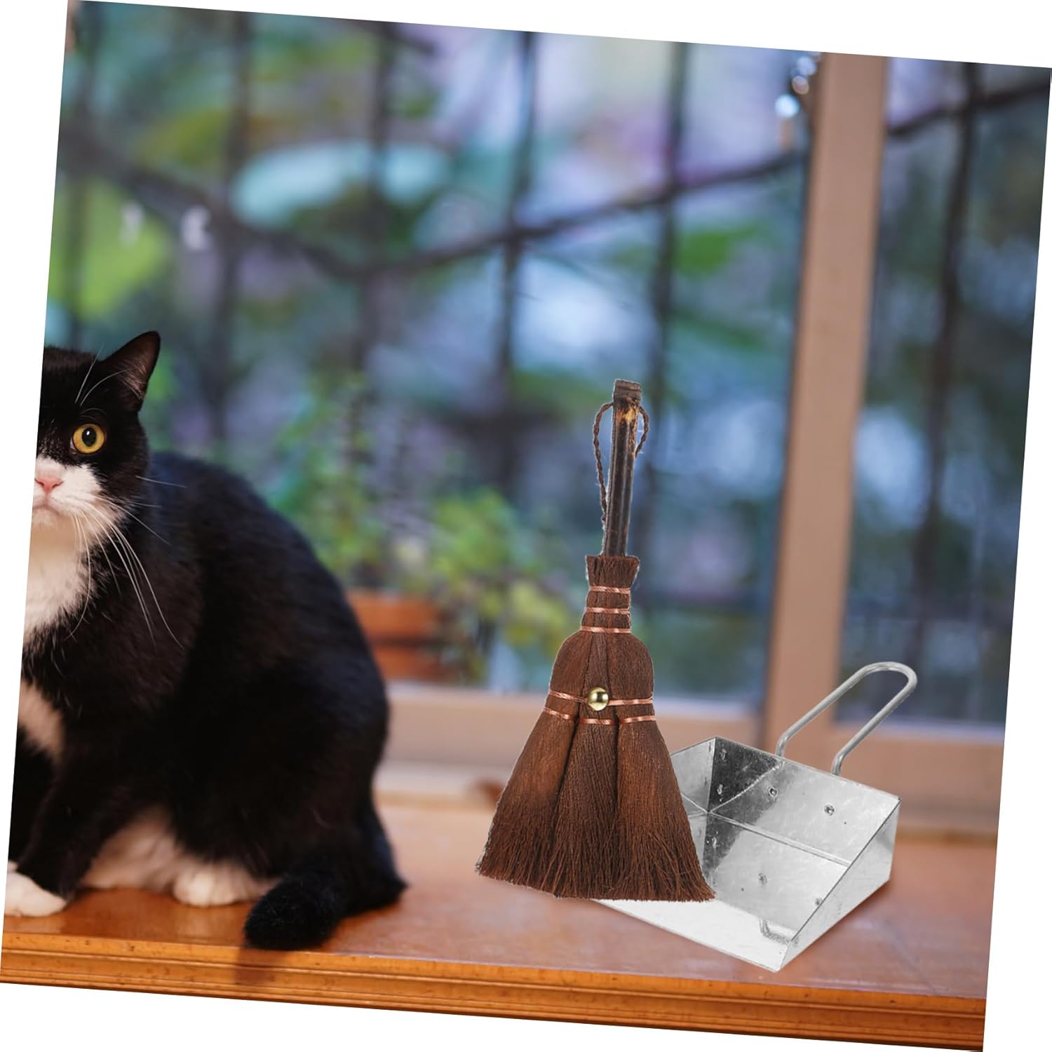 Healeved 3sets Professional Multi-Function Dustpan and Broom Convenient Pet Litter Cleanup Compact and Pet Stores