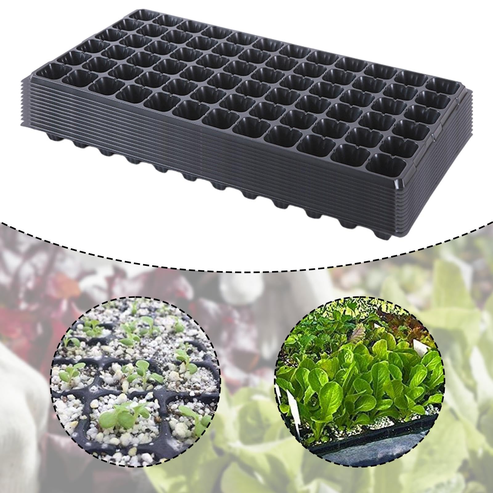 Perfeclan 12 Pièces Plateaux Semis Plateau Germination Graines Réutilisable Multi Compartiments Propagation Plantes Matériau PP Aéré Convient Maison Serre, 72 cellules