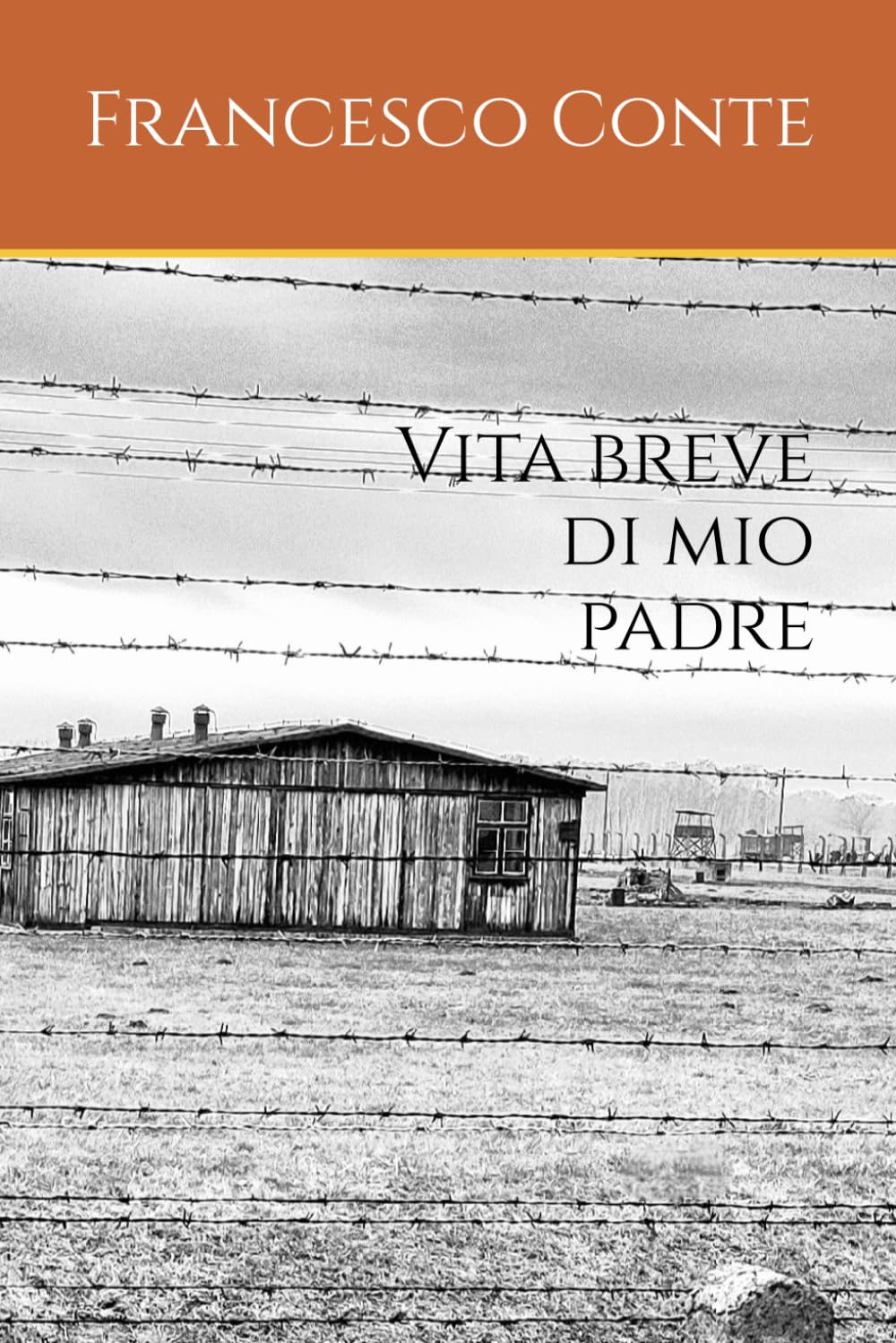Vita breve di mio padre