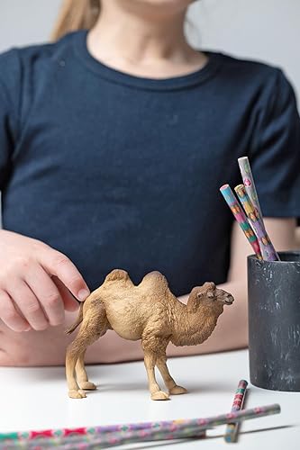 Miniatura 2 de Papo - CAMEL BACTRIANO - Figura realista pintada a mano - 3 años - Juguete educativo de animales salvajes - Vida salvaje, dos jorobas, detalles