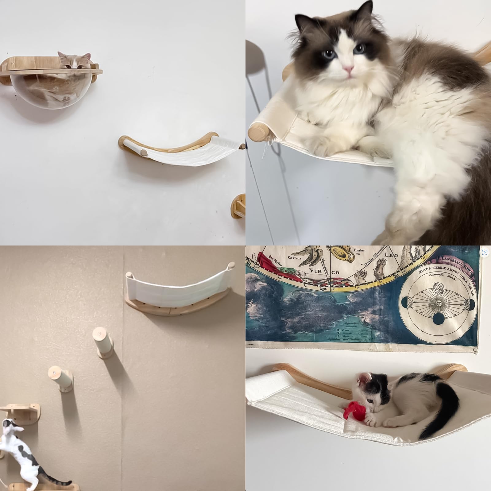 Amaca per gatti, scaffale da parete, per animali domestici Comfy letto da parete mobili da parete per arrampicata e sdraiarsi