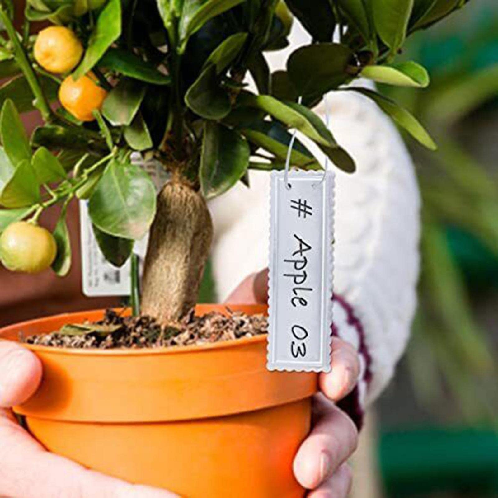 Aluminium Plantenlabels, 100 Stuks Waterdichte tuin- en Tuinbouwplantenlabels en -borden, Buiten Schrijven op Plantenmarkeringen voor Bloemenlandschapsontwerper