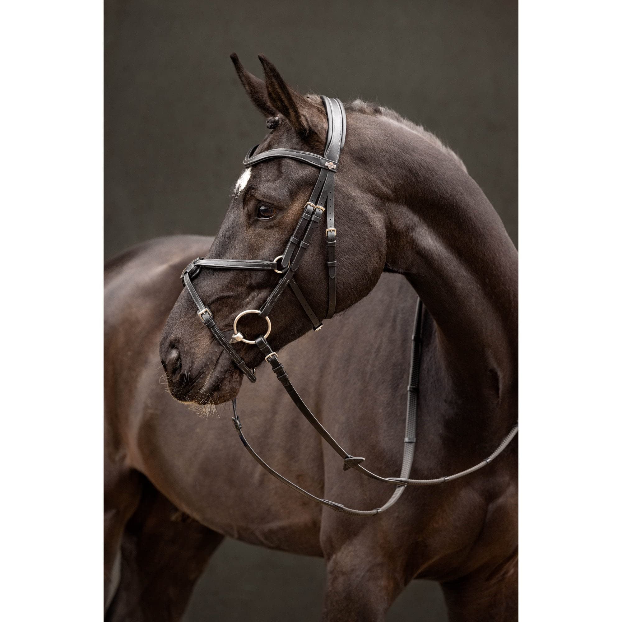 LeMieux Arika Grackle Briglia - Nero/Argento Cob