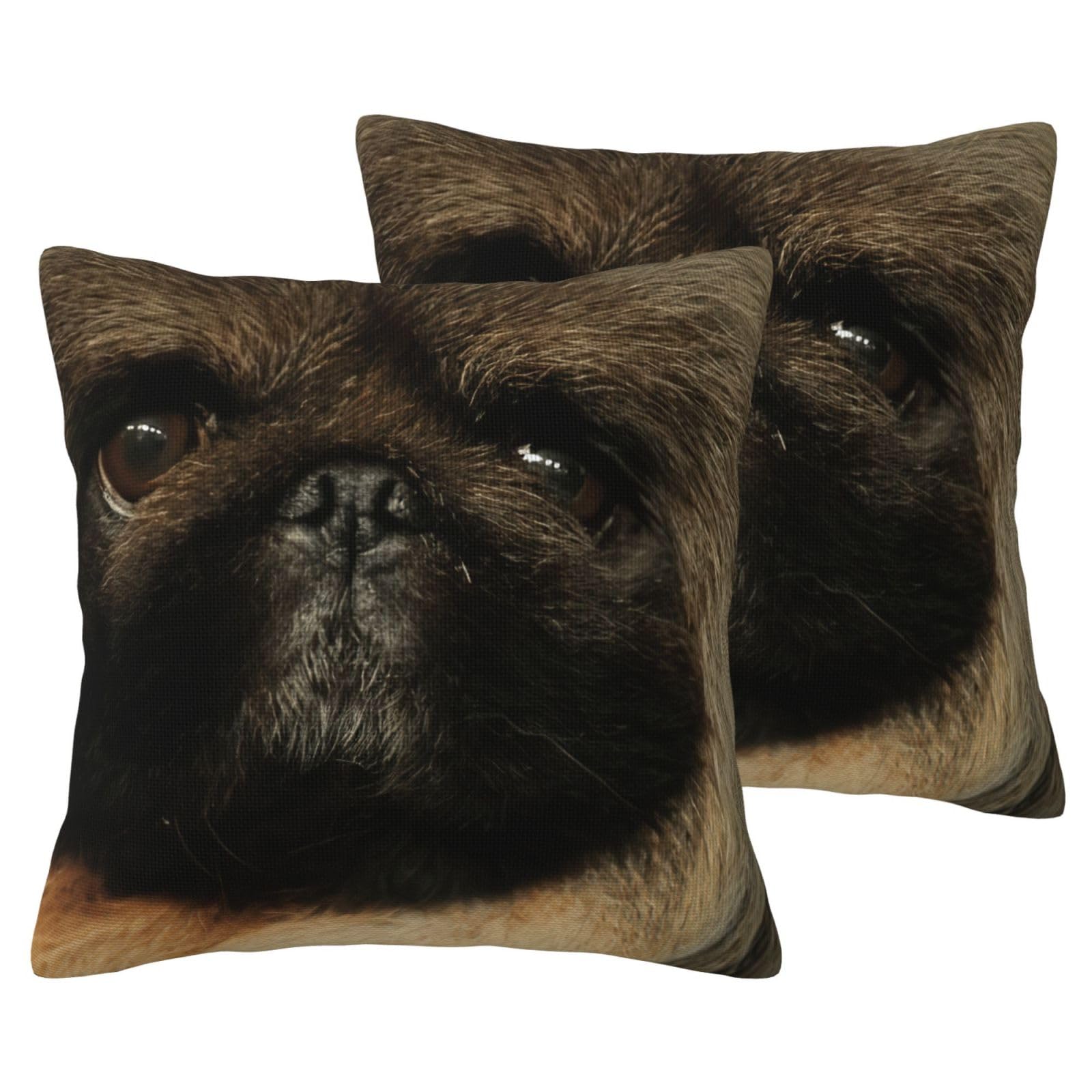 Housses de coussin pékinois EdWal de qualité supérieure pour décoration de lit