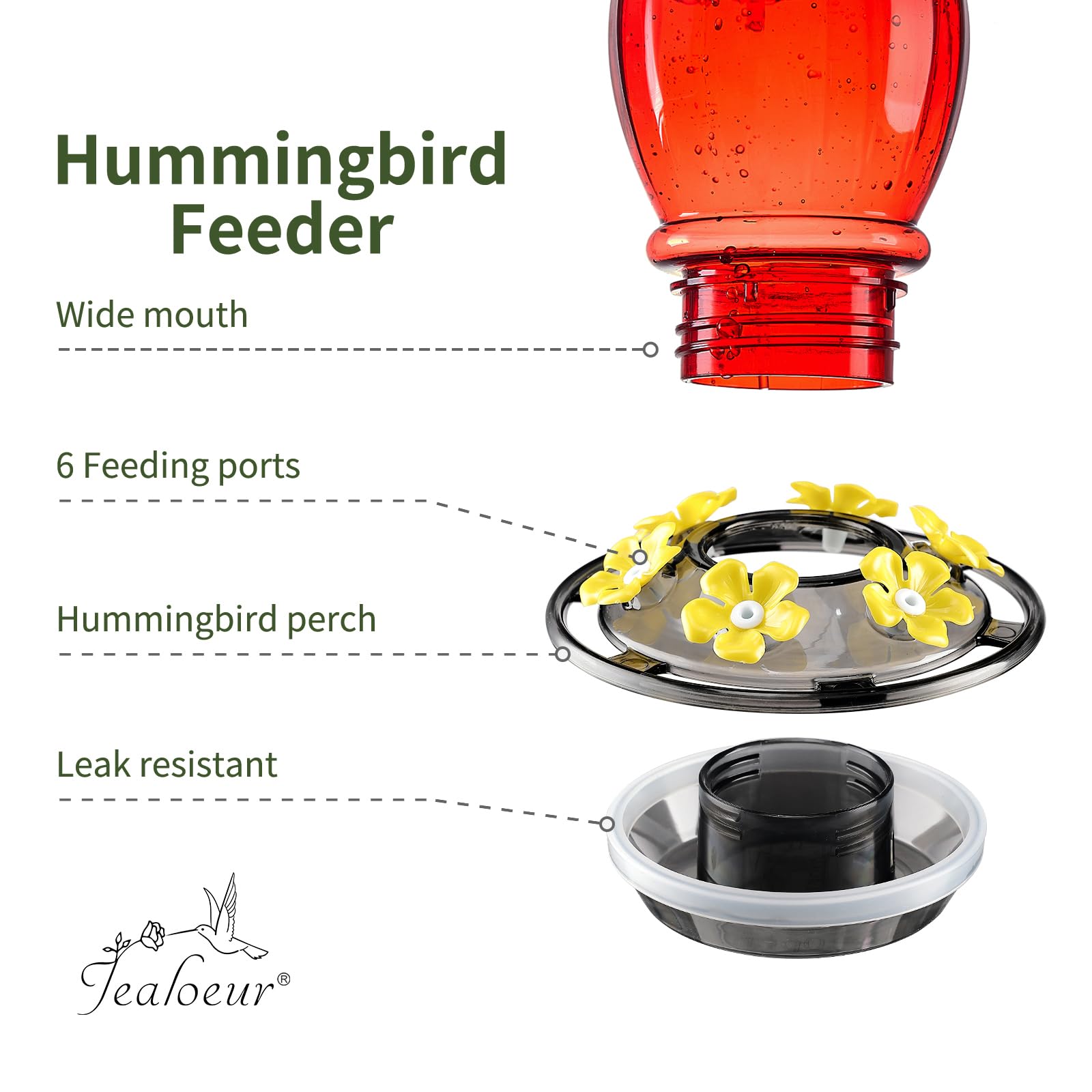 Jealoeur Hummingbird Feeder - Attract Birds! -4