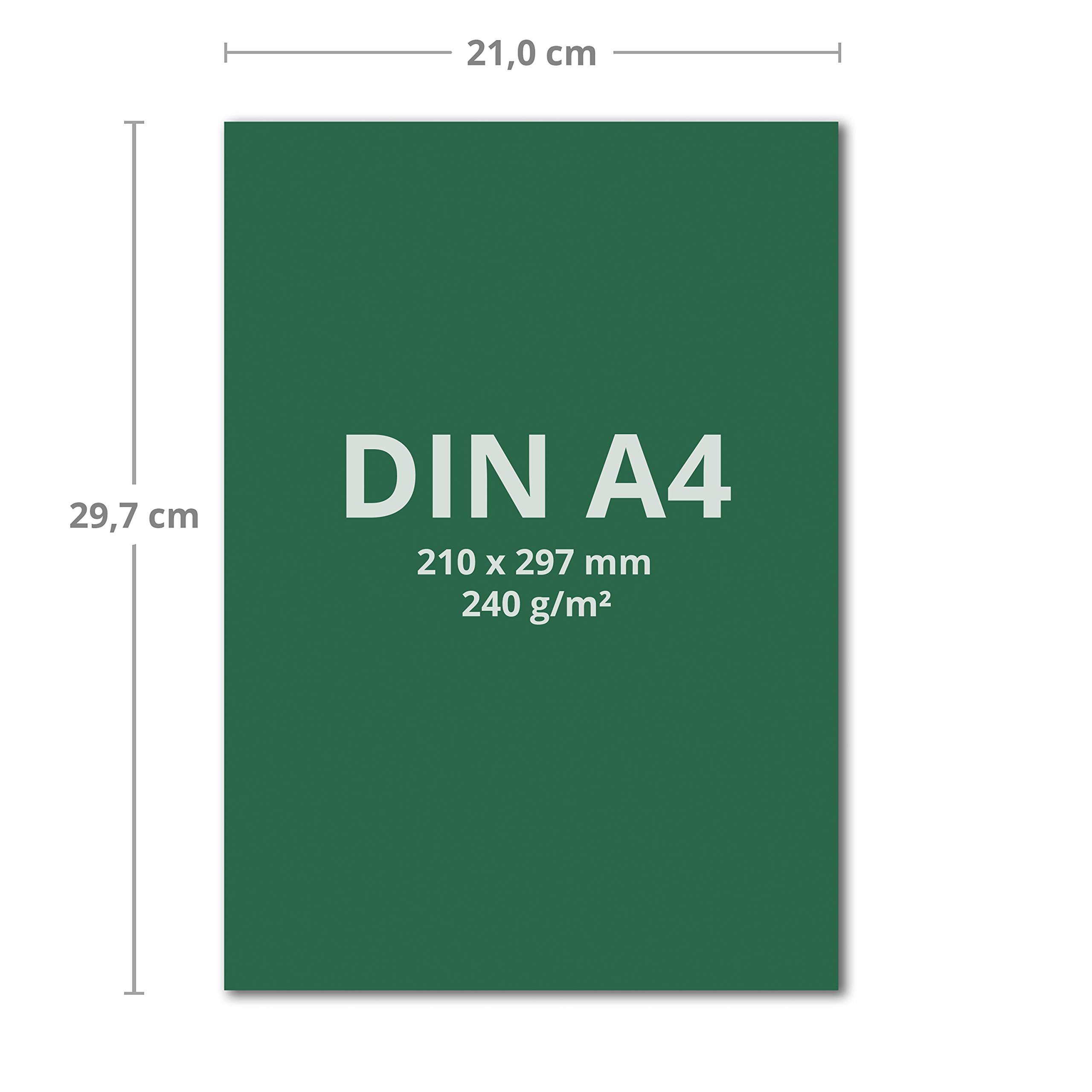 Netuno 100x gekleurd papier rood DIN A4 210x297mm 115g Sirio Color Lampone knutselpapier creatief papier voor Kerstmis bruiloft verjaardag uitnodigingen