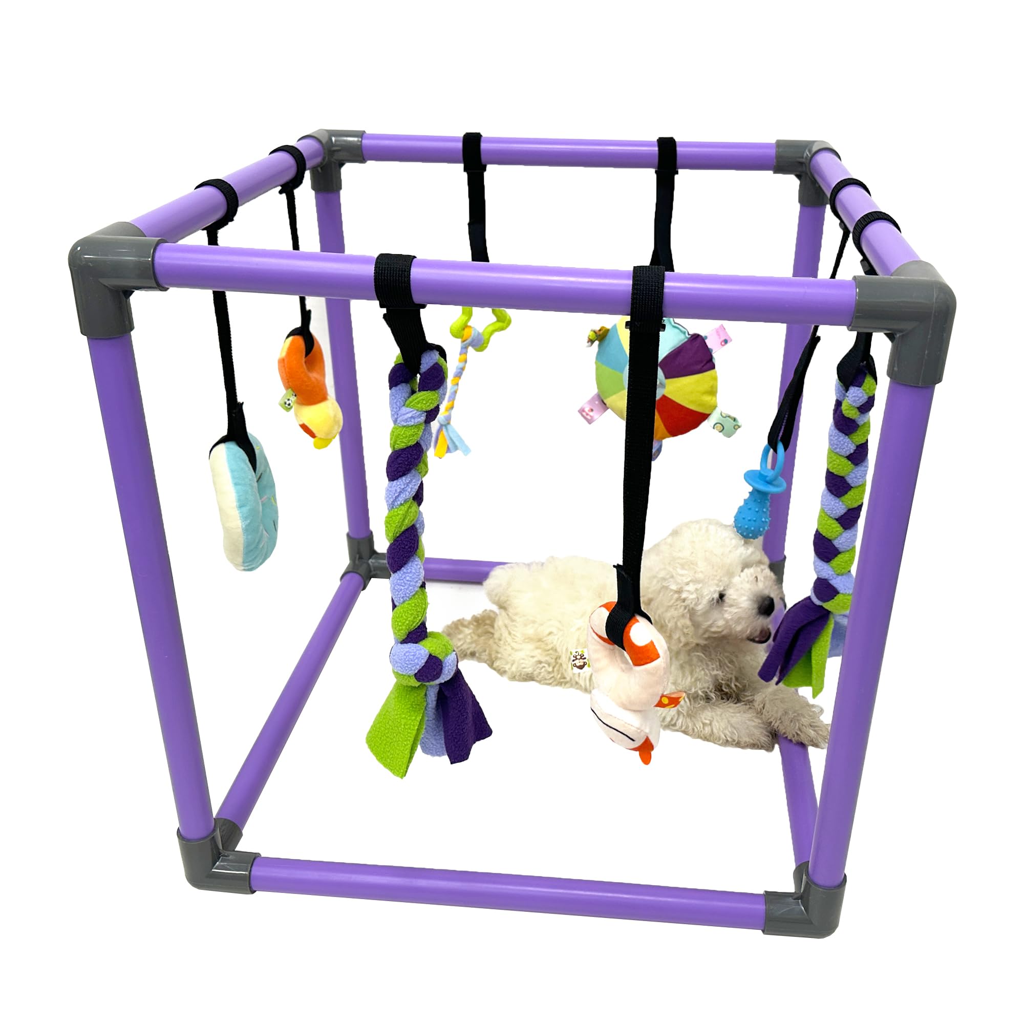 DOZZOPET Puppy Play Gym